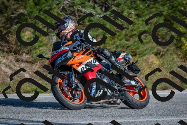 202510191538-DSC_8355_c4_