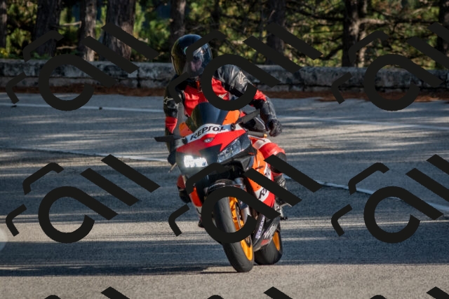 202510191541-DSC_8372_c4_