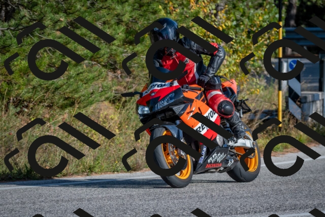 202510191541-DSC_8373_c4_