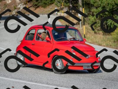 202510191541-DSC_8378_c4_