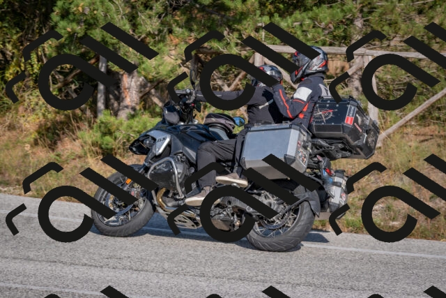 202510191543-DSC_8382_c4_