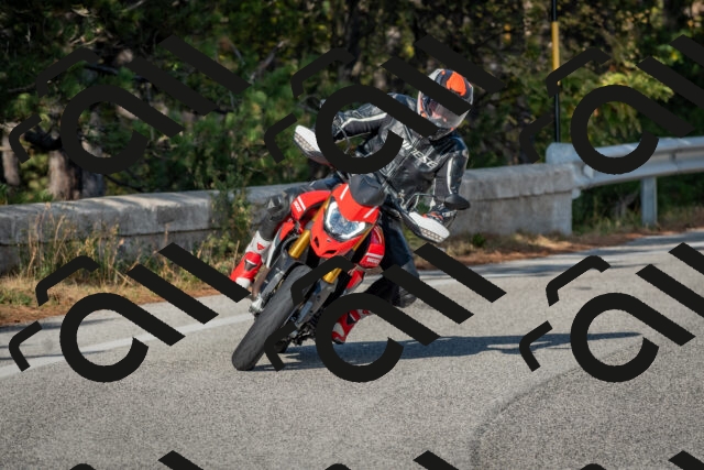 202510191545-DSC_8384_c4_