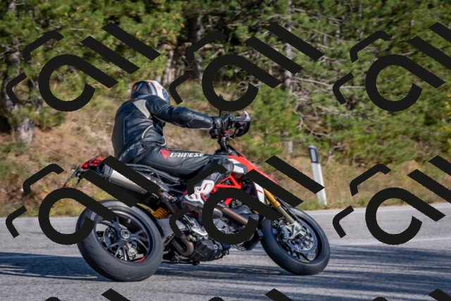 202510191545-DSC_8388_c4_