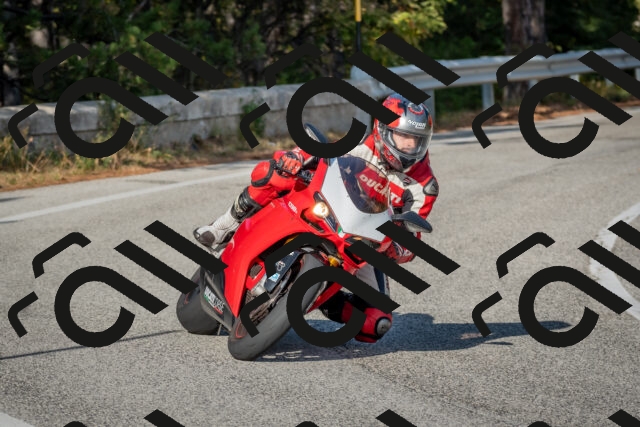 202510191545-DSC_8389_c4_