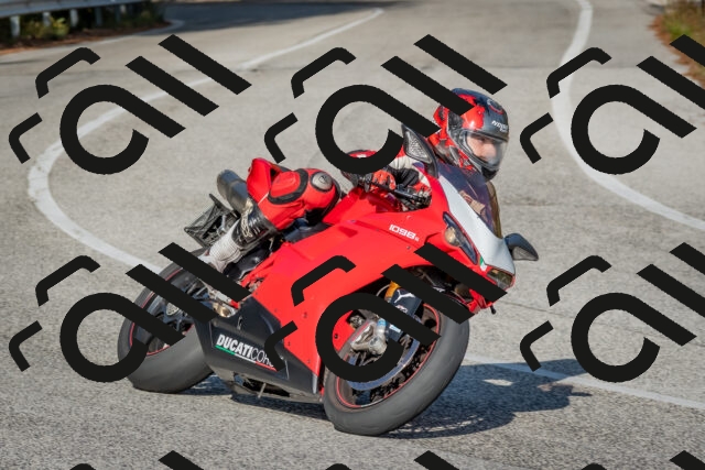 202510191545-DSC_8390_c4_