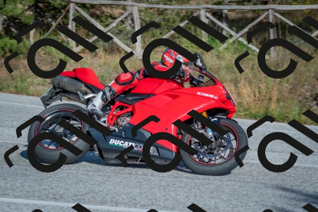 202510191545-DSC_8391_c4_