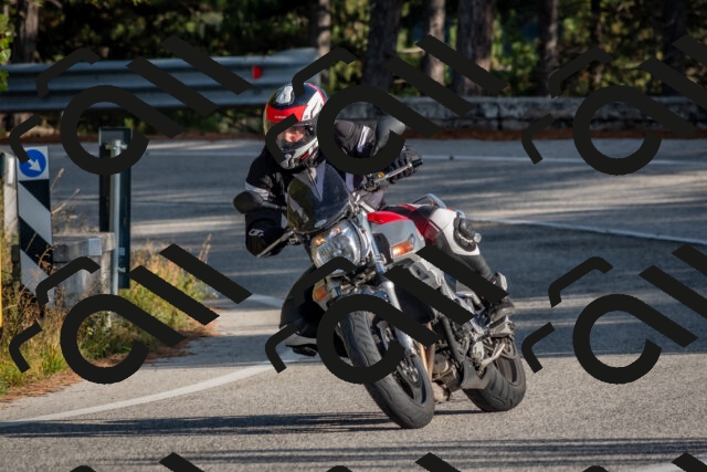 202510191550-DSC_8393_c4_