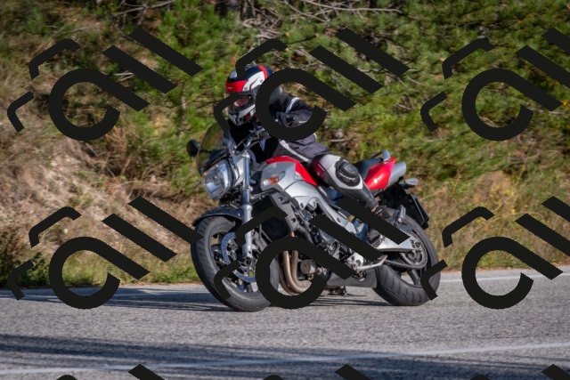 202510191550-DSC_8394_c4_