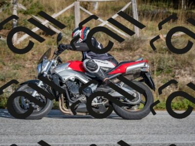 202510191550-DSC_8395_c4_