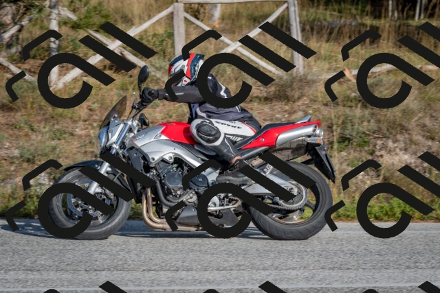 202510191550-DSC_8395_c4_