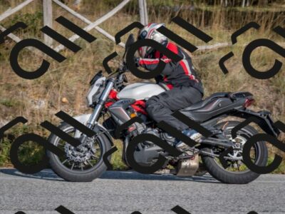 202510191550-DSC_8400_c4_