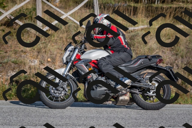 202510191550-DSC_8400_c4_