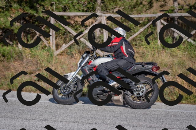 202510191550-DSC_8401_c4_