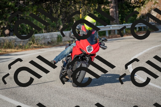 202510191551-DSC_8402_c4_