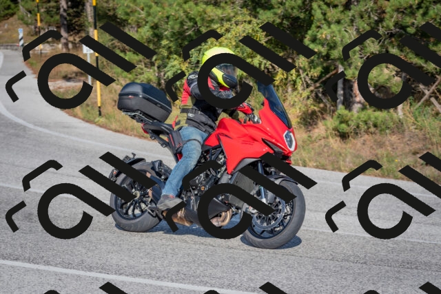 202510191551-DSC_8404_c4_