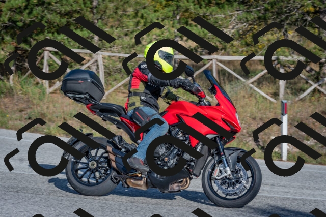 202510191551-DSC_8405_c4_