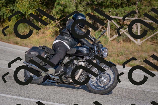 202510191558-DSC_8415_c4_