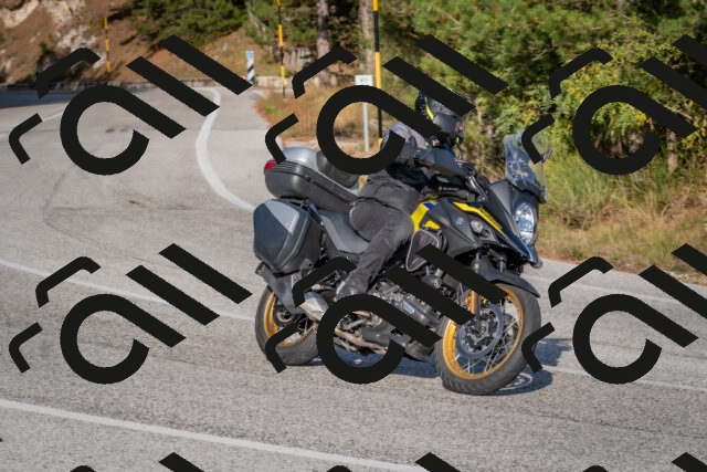 202510191558-DSC_8418_c4_