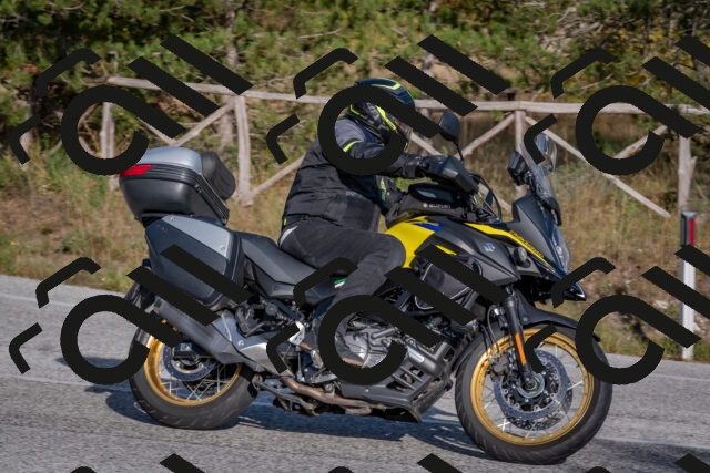 202510191558-DSC_8419_c4_