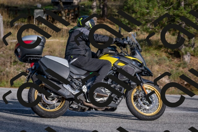 202510191558-DSC_8420_c4_