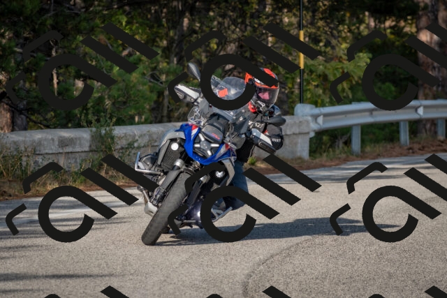 202510191559-DSC_8421_c4_