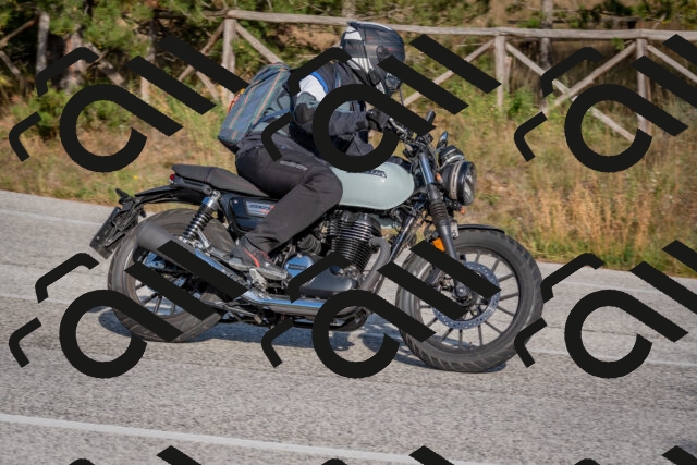 202510191600-DSC_8429_c4_