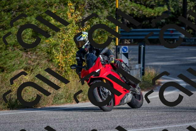 202510191602-DSC_8432_c4_