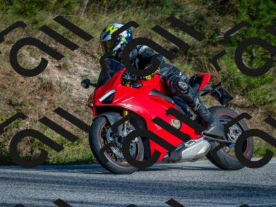 202510191602-DSC_8433_c4_