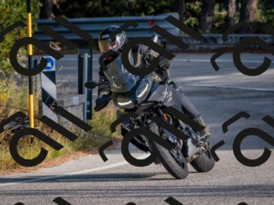 202510191603-DSC_8438_c4_