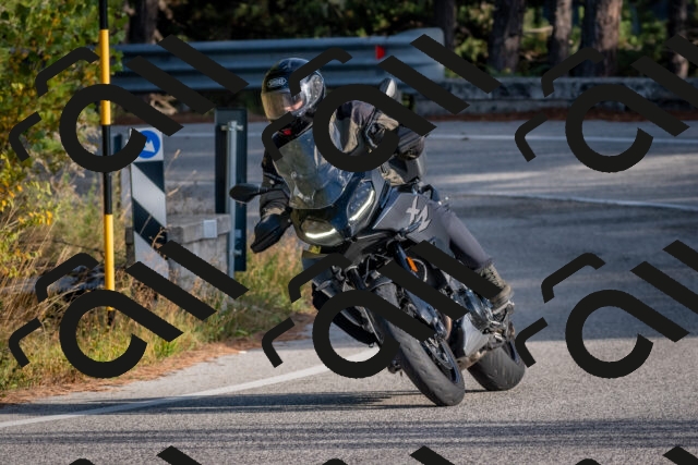 202510191603-DSC_8438_c4_