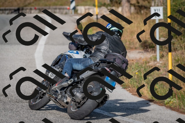 202510191605-DSC_8455_c4_