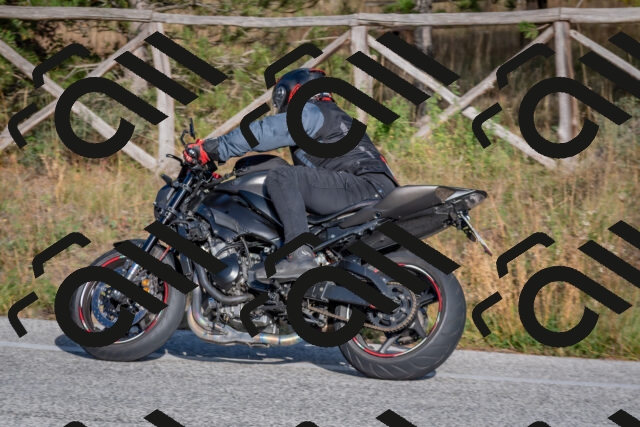 202510191605-DSC_8462_c4_