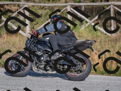 202510191605-DSC_8462_c4_