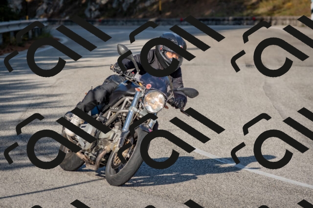 202510191623-DSC_8466_c4_