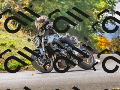 202510191306-DSC_5226_d2_