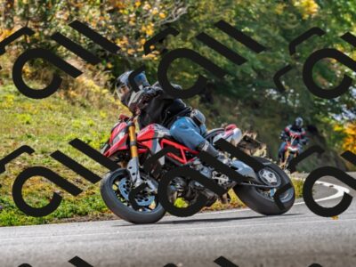 202510191307-DSC_5232_d2_