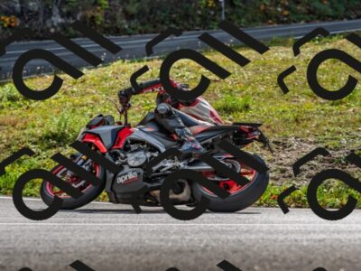 202510191321-DSC_5289_d2_