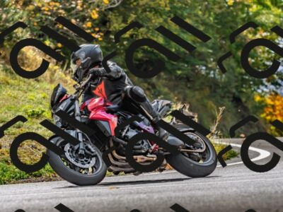 202510191330-DSC_5323_d2_