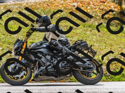 202510191331-DSC_5330_d2_