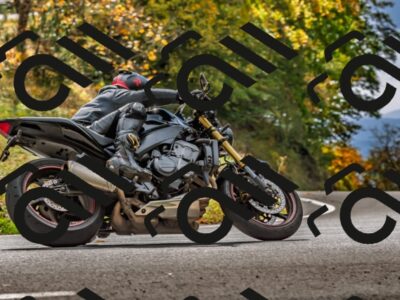 202510191334-DSC_5339_d2_