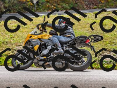 202510191348-DSC_5344_d2_