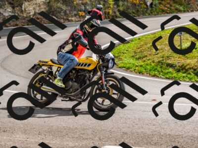 202510191437-DSC_5443_d2_