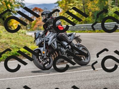 202510191439-DSC_5446_d2_