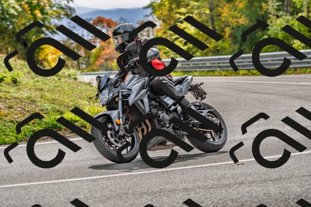 202510191439-DSC_5446_d2_