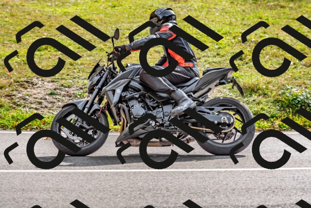 202510191439-DSC_5448_d2_