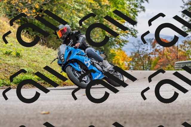 202510191443-DSC_5458_d2_