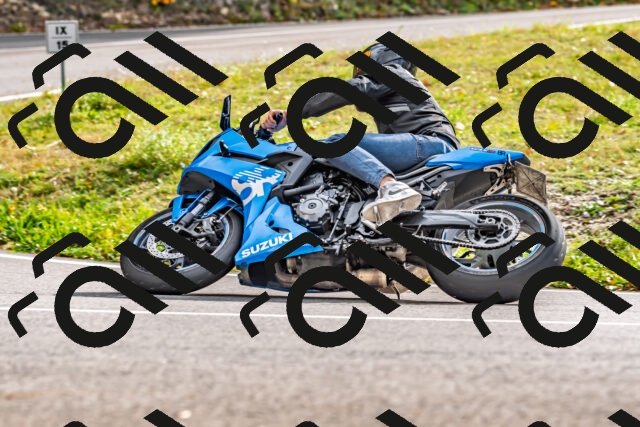 202510191443-DSC_5460_d2_