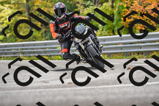 202510191443-DSC_5464_d2_