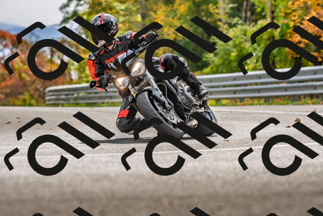 202510191443-DSC_5465_d2_