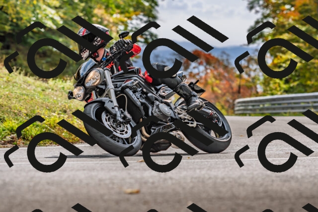 202510191443-DSC_5466_d2_